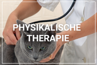 Ob Hund, Katze oder Maus unsere Tierarztpraxis in Hamburg sorgt dafür das Ihr Tier optimal versorgt ist